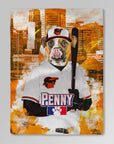 Manta personalizada para mascotas 'Baltimore Dogorioles'