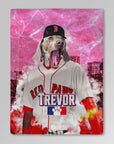 Manta personalizada para mascotas "Boston Red Paws"
