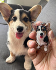 Bundle With an Acrylic Pet Photo Keychain for 50% Off!