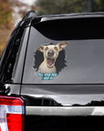 Custom pet decal on a car window, featuring a cartoon dog portrait with "Tell Your Dog I Said Hi".