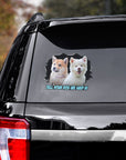 Custom 2 pet dog decal on a car window, featuring a Shiba Inu and a white fluffy dog with "Tell your dog we said hi".