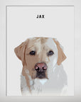 Personalized modern pet poster featuring a yellow Labrador named Jax, with a matte finish.