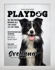 Personalized Playdog magazine cover poster featuring a black and white Border Collie.