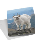 Naipes personalizados para mascotas 'The Mountain Doggoat'