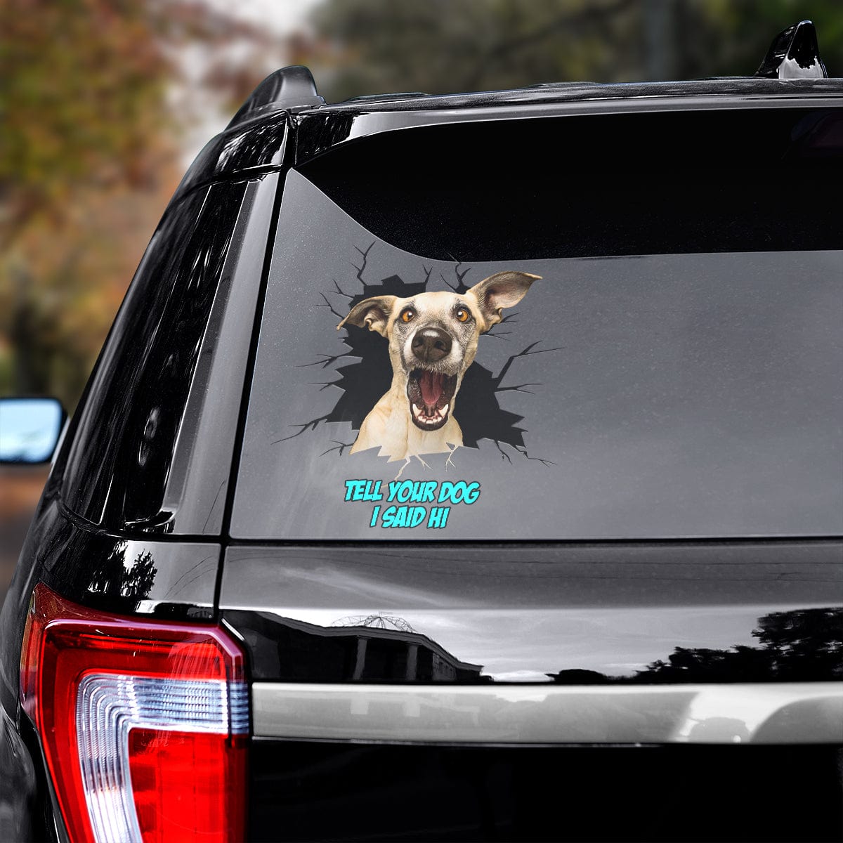 Custom Pet Decals