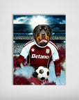 'Aston Villa Doggos Football' Personalized Dog Poster