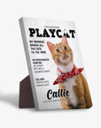 Lienzo personalizado para mascotas 'Playcat'