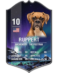 Custom pet sport card plaque featuring a boxer dog's portrait, name "Ruppert," stats, and a northern lights background.