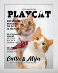 Personalized "Playcat" magazine cover poster featuring two orange and white cats.