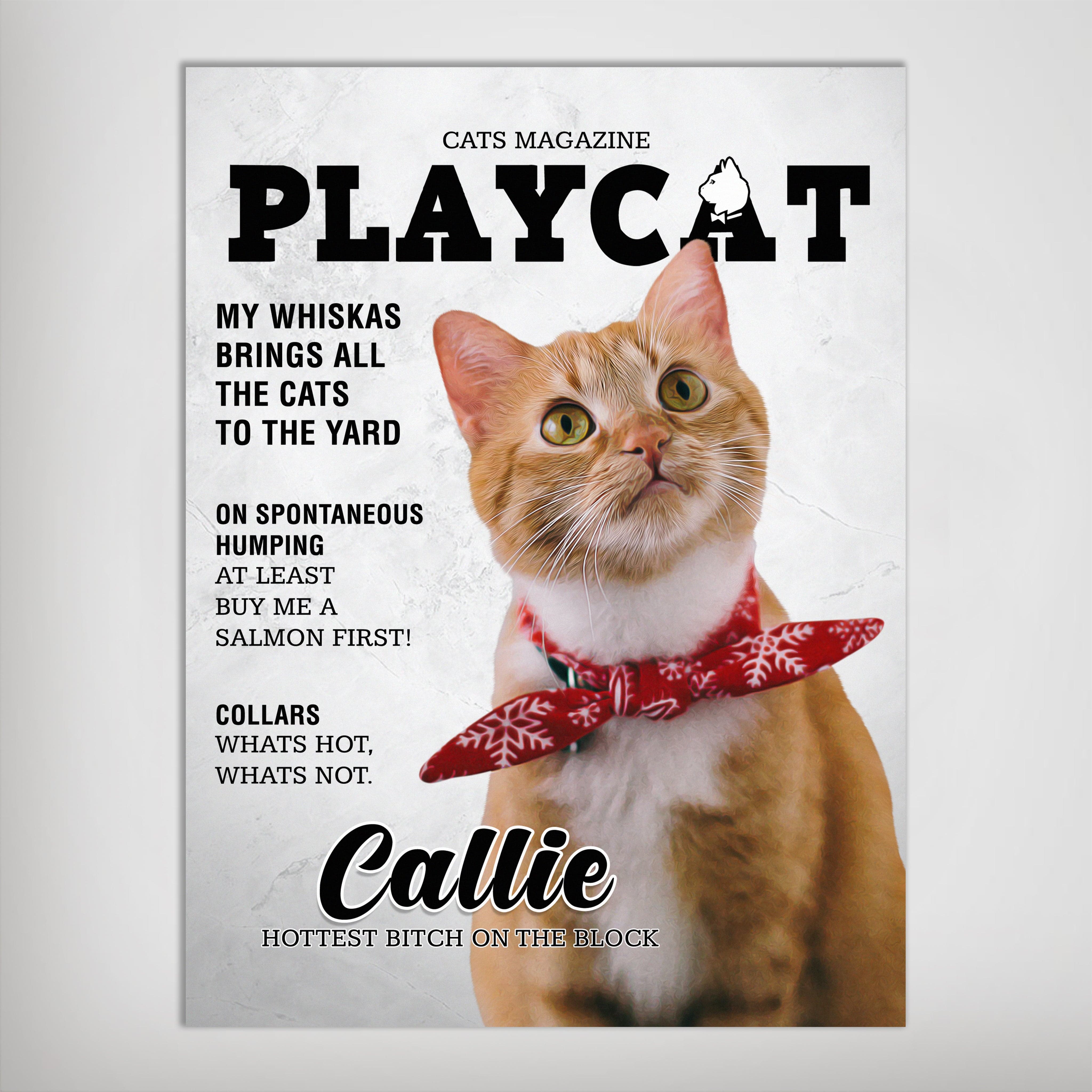 Personalized Playcat magazine cover poster featuring an orange cat wearing a red snowflake bow tie.