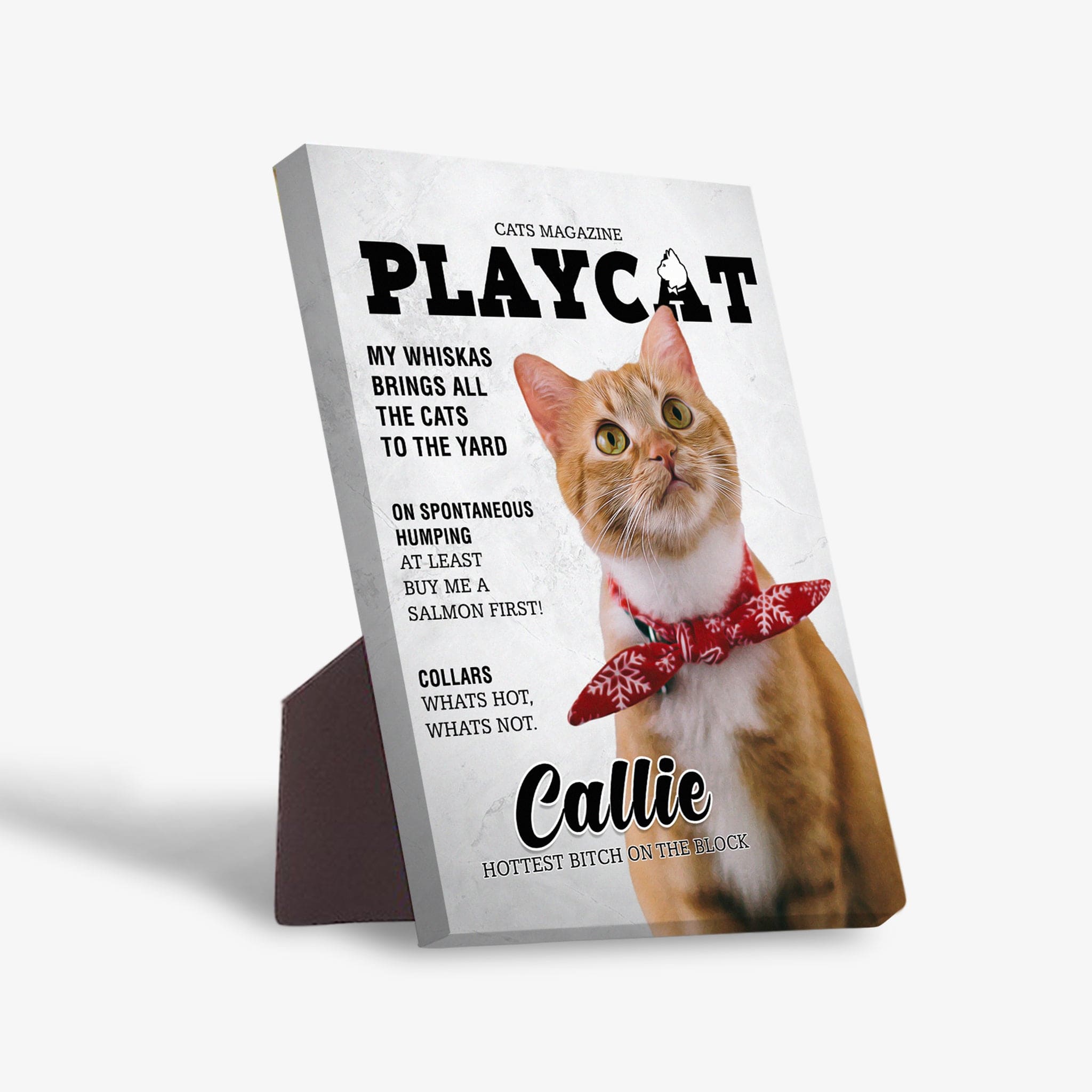 Personalized Playcat standing canvas featuring an orange cat in a red bow tie, designed like a magazine cover.