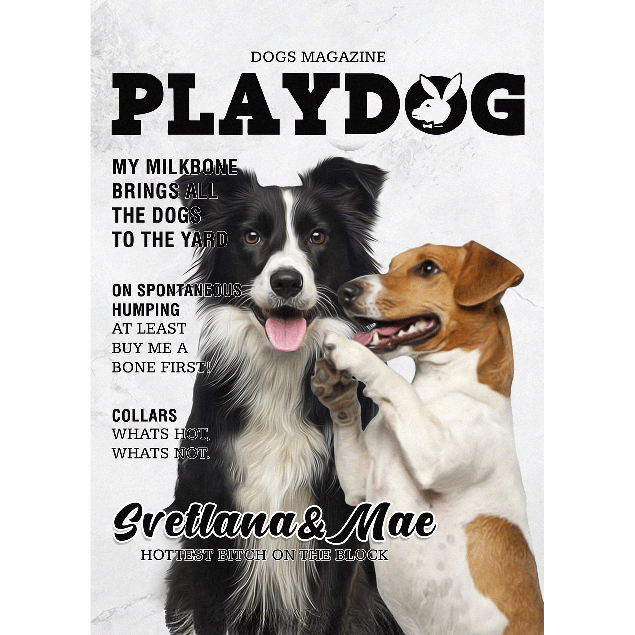 Personalized Playdog magazine cover digital portrait featuring two dogs, a Border Collie and a Jack Russell.