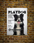 Mini retrato de mascota personalizado 'Playdog'