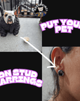 Arretes Personalizables Con Su Mascota