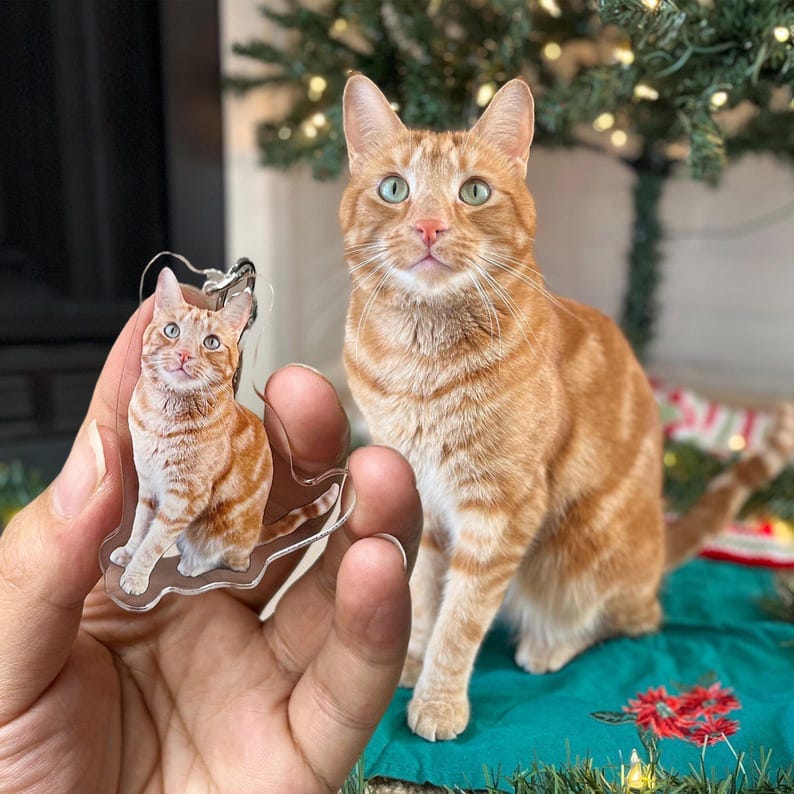 Bundle With an Acrylic Pet Photo Keychain for 50% Off!