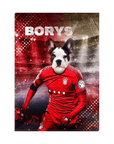 Lienzo personalizado para mascotas 'Poland Doggos Soccer'