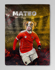 Manta para mascotas personalizada de fútbol Austria Doggos