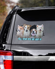 Custom 4 pet dog decal on a black car window with "Tell Your Dog We Said Hi" text.
