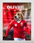 Personalized pet poster featuring a beagle in a red Denmark soccer jersey with "OLIVER" above.