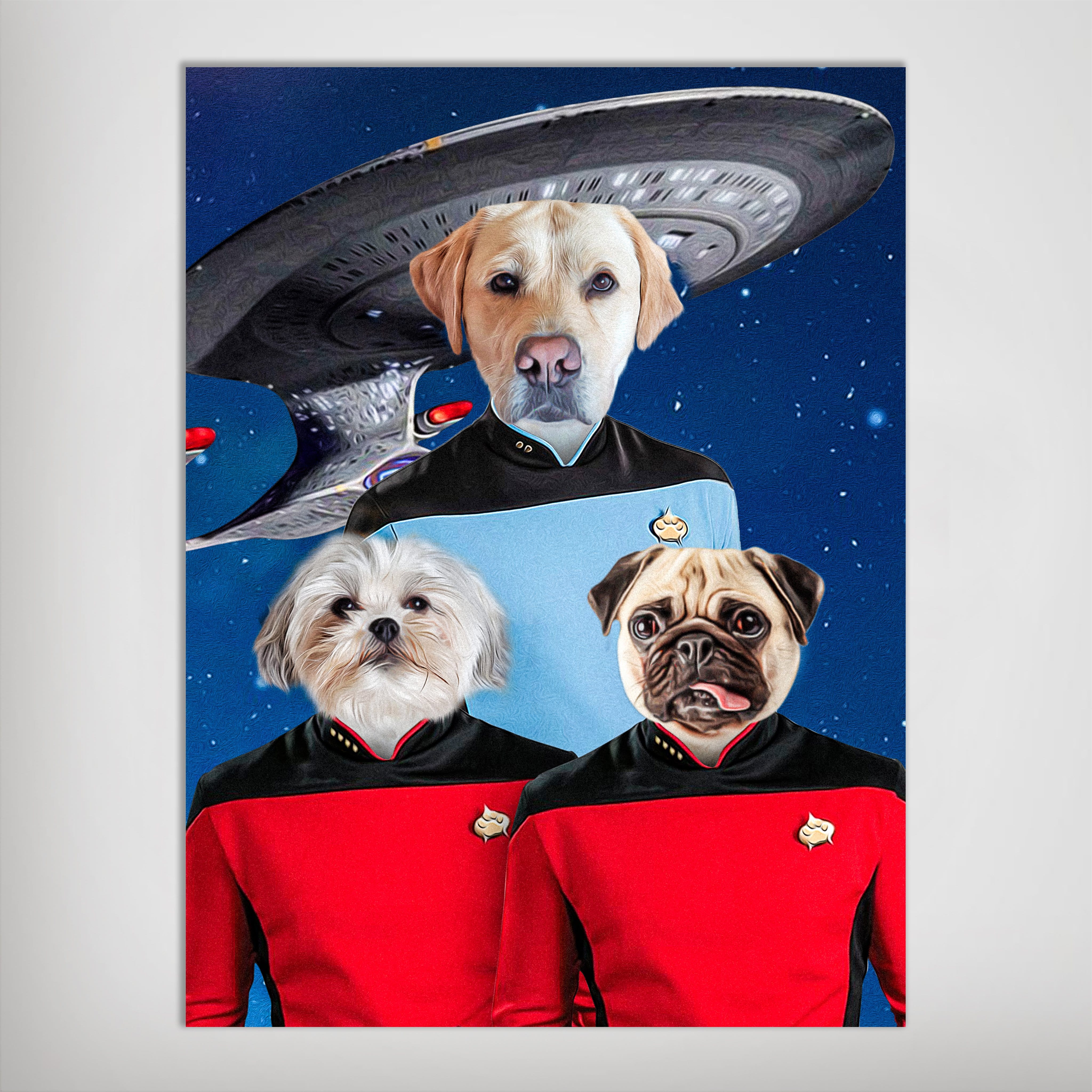 Personalized Doggo-Trek poster featuring three pets as Starfleet officers in blue and red uniforms against a starry space background with a spaceship.