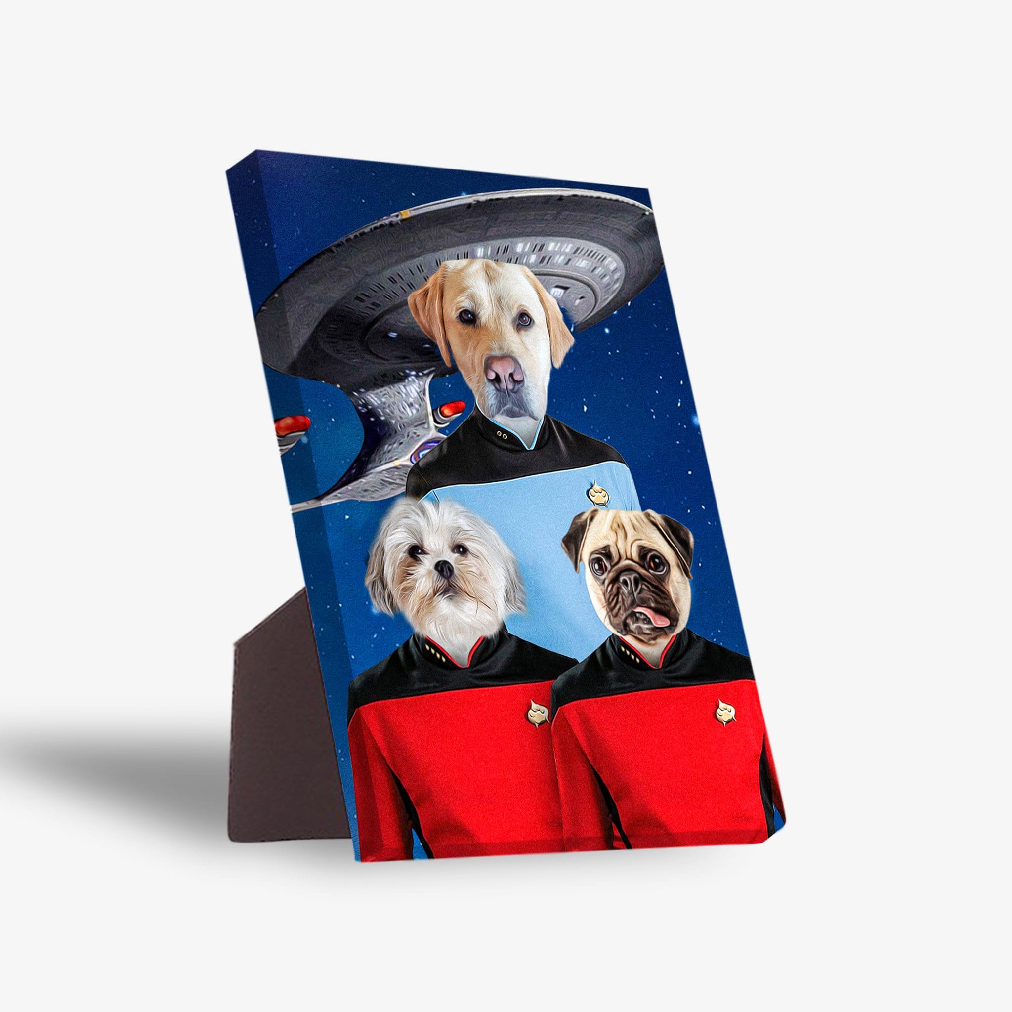 Personalized 'Doggo-Trek' standing canvas featuring three pets in Star Trek uniforms with a spaceship background.