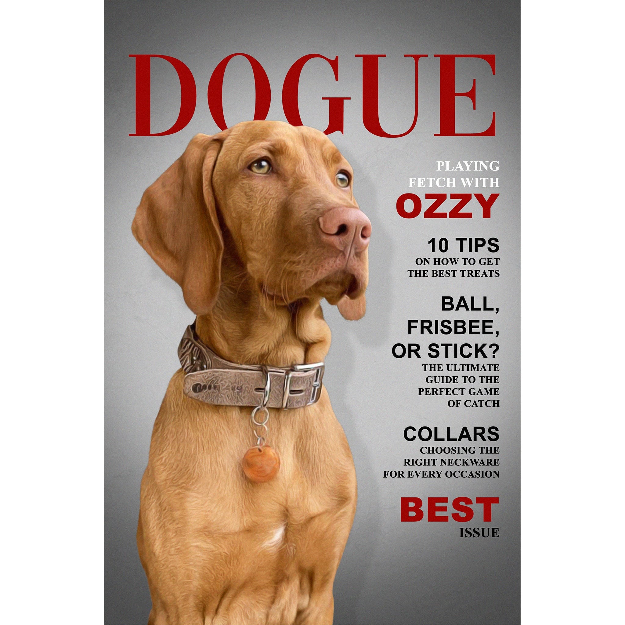 Personalized 'Dogue' digital portrait featuring a brown Vizsla dog on a magazine cover.