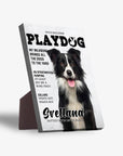 Lienzo personalizado para mascotas 'Playdog'