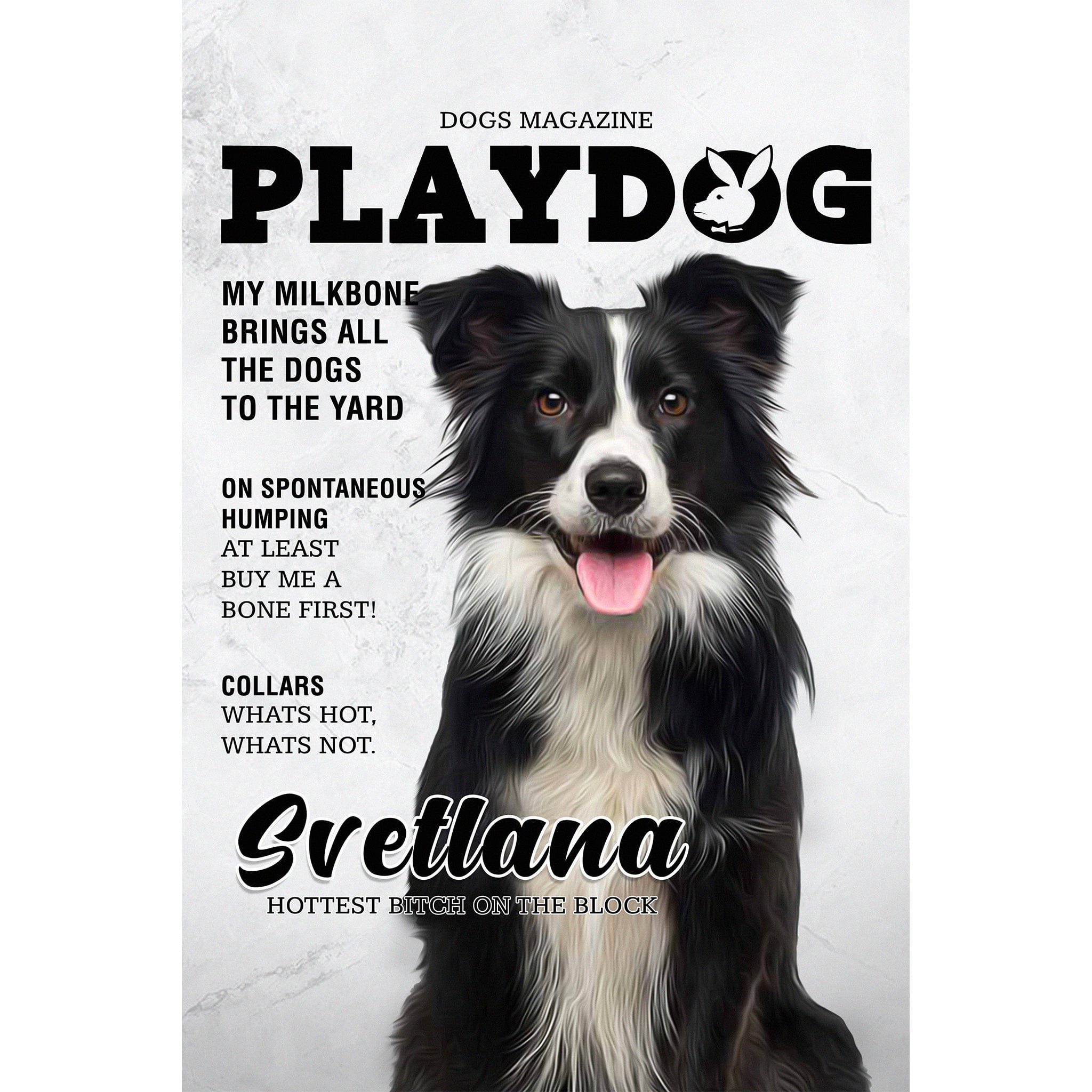 Personalized 'Playdog' magazine cover digital portrait of a black and white Border Collie.