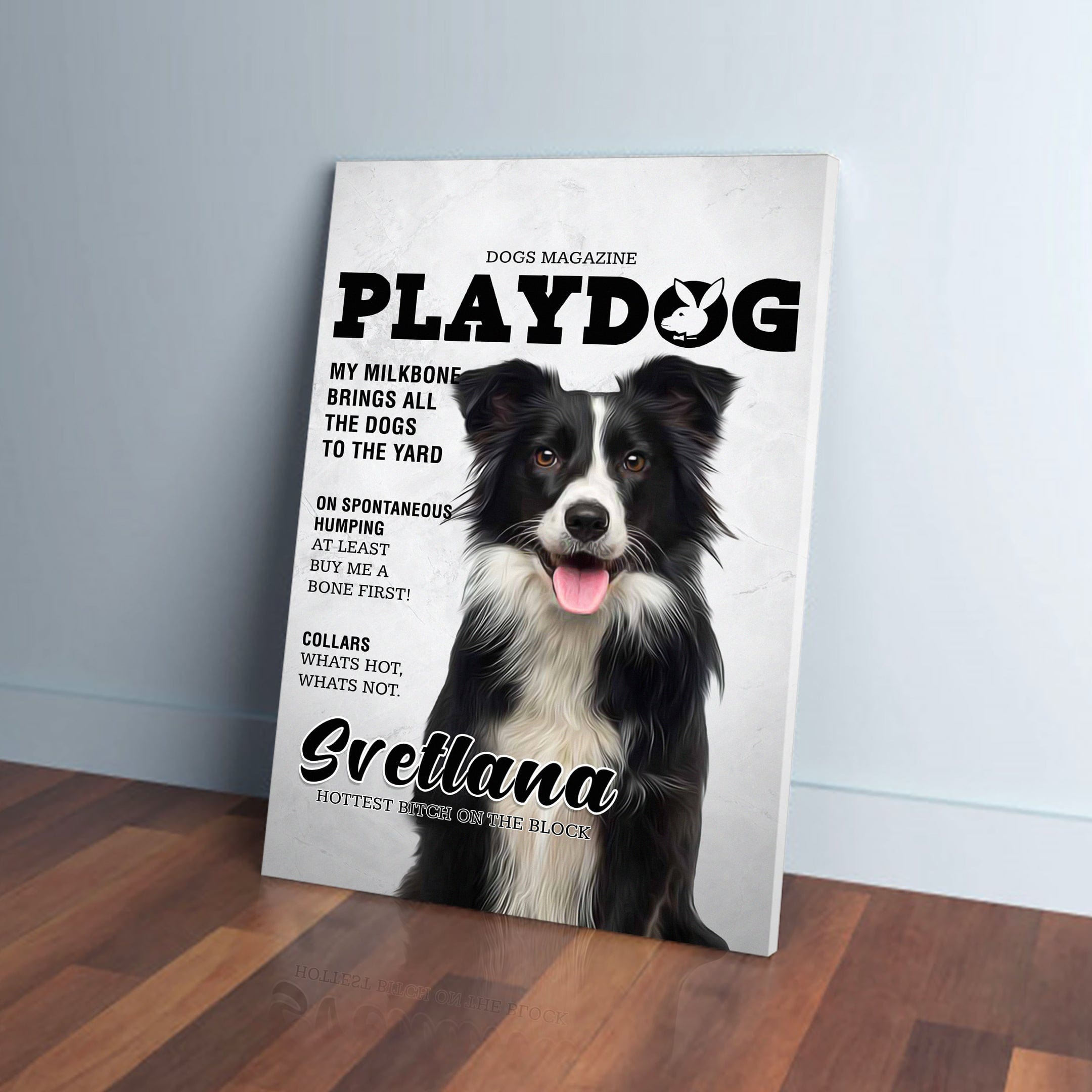 Custom 'Playdog' pet canvas featuring a black and white Border Collie on a magazine cover design.