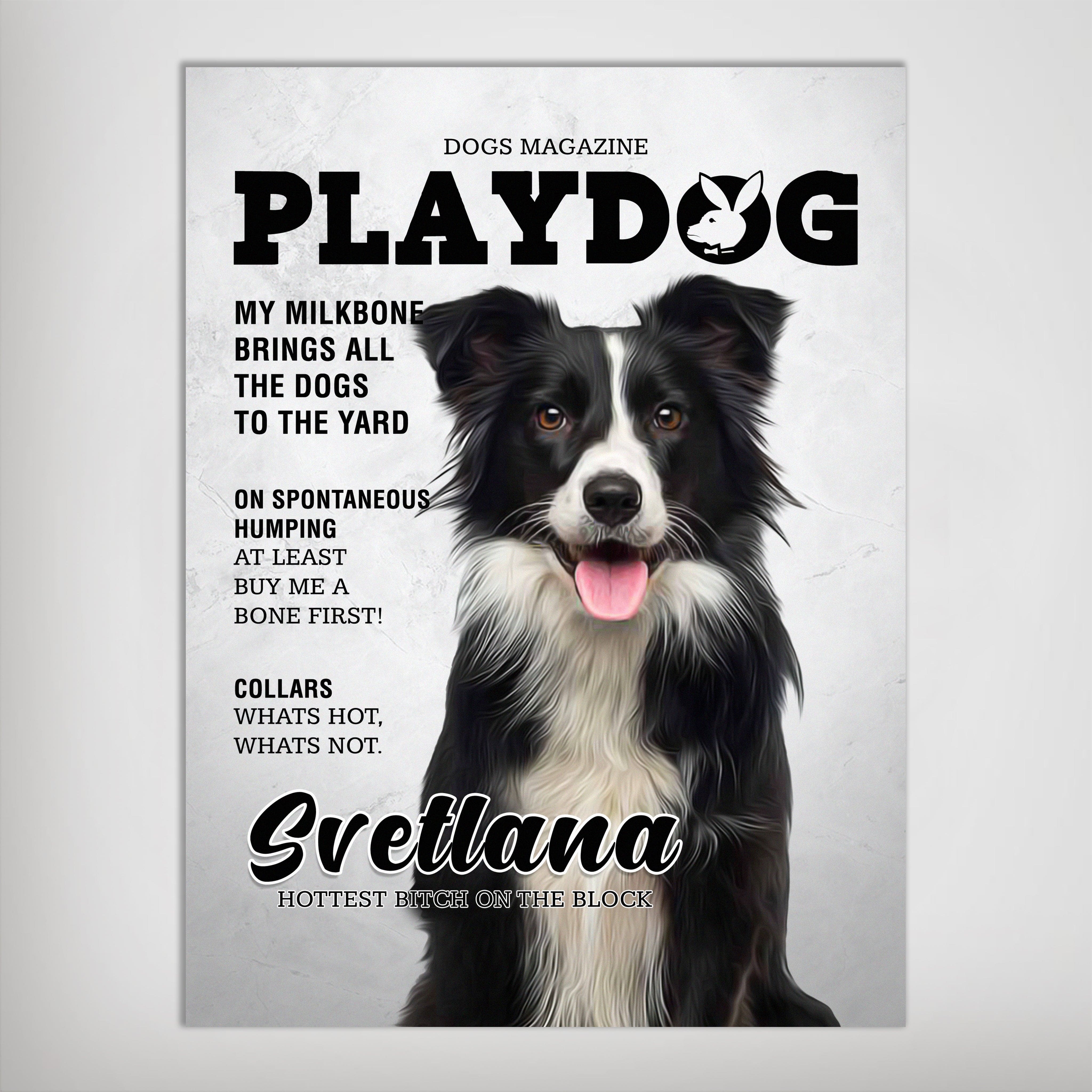 Personalized Playdog magazine cover poster featuring a black and white Border Collie.