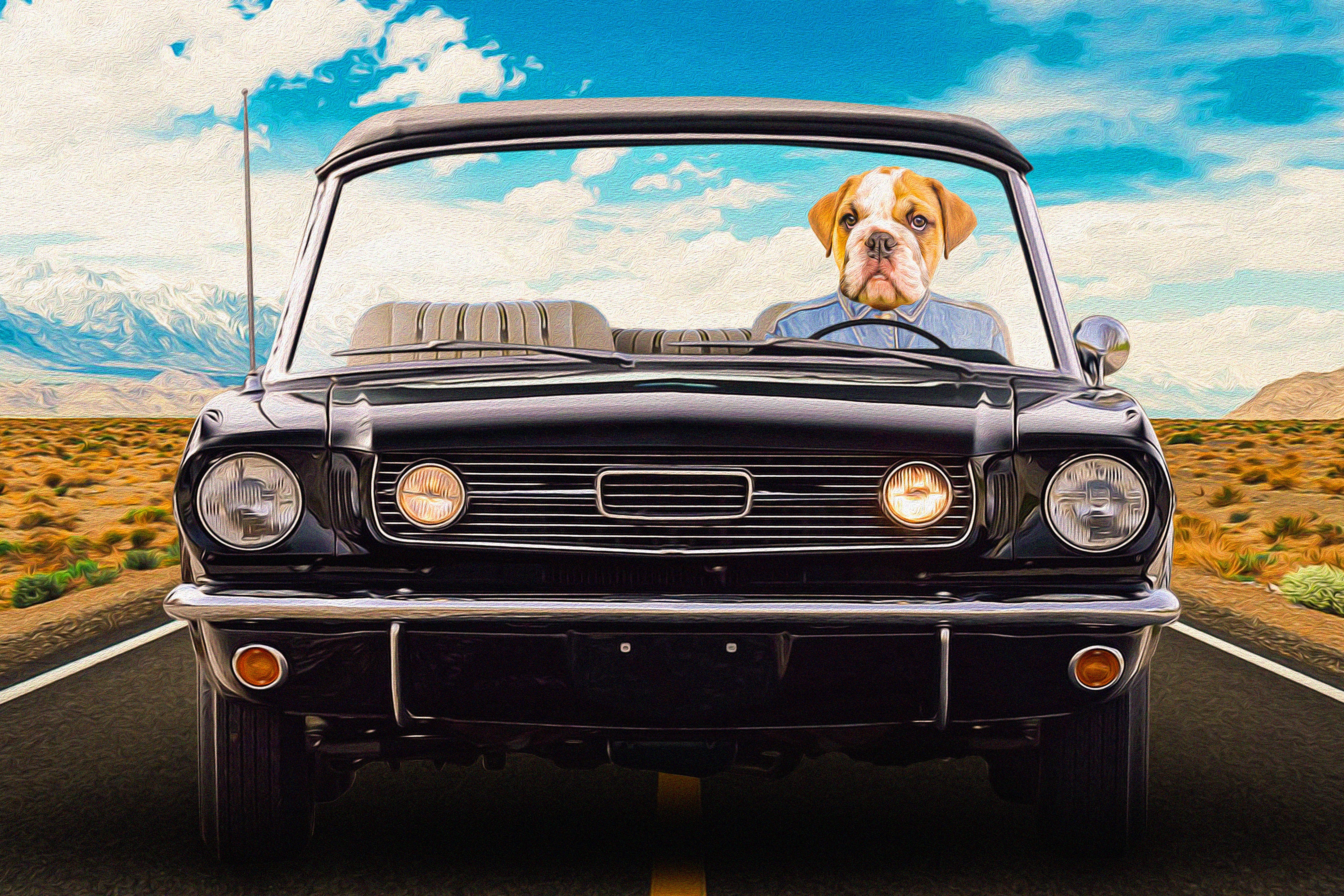 Custom digital portrait of a bulldog driving a classic black convertible, oil painting style.
