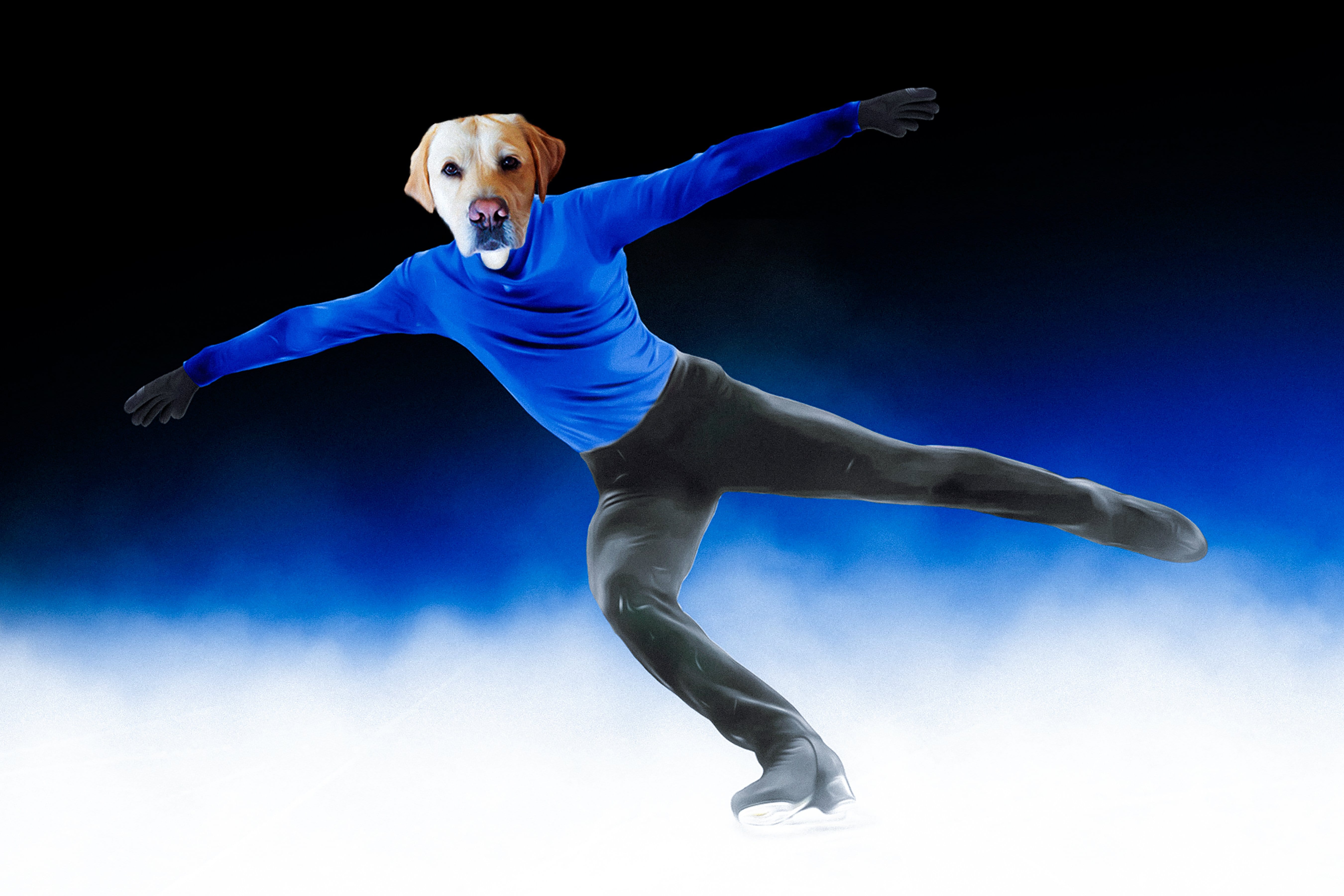 Custom digital portrait of a yellow lab dog's head on a figure skater in a blue shirt.