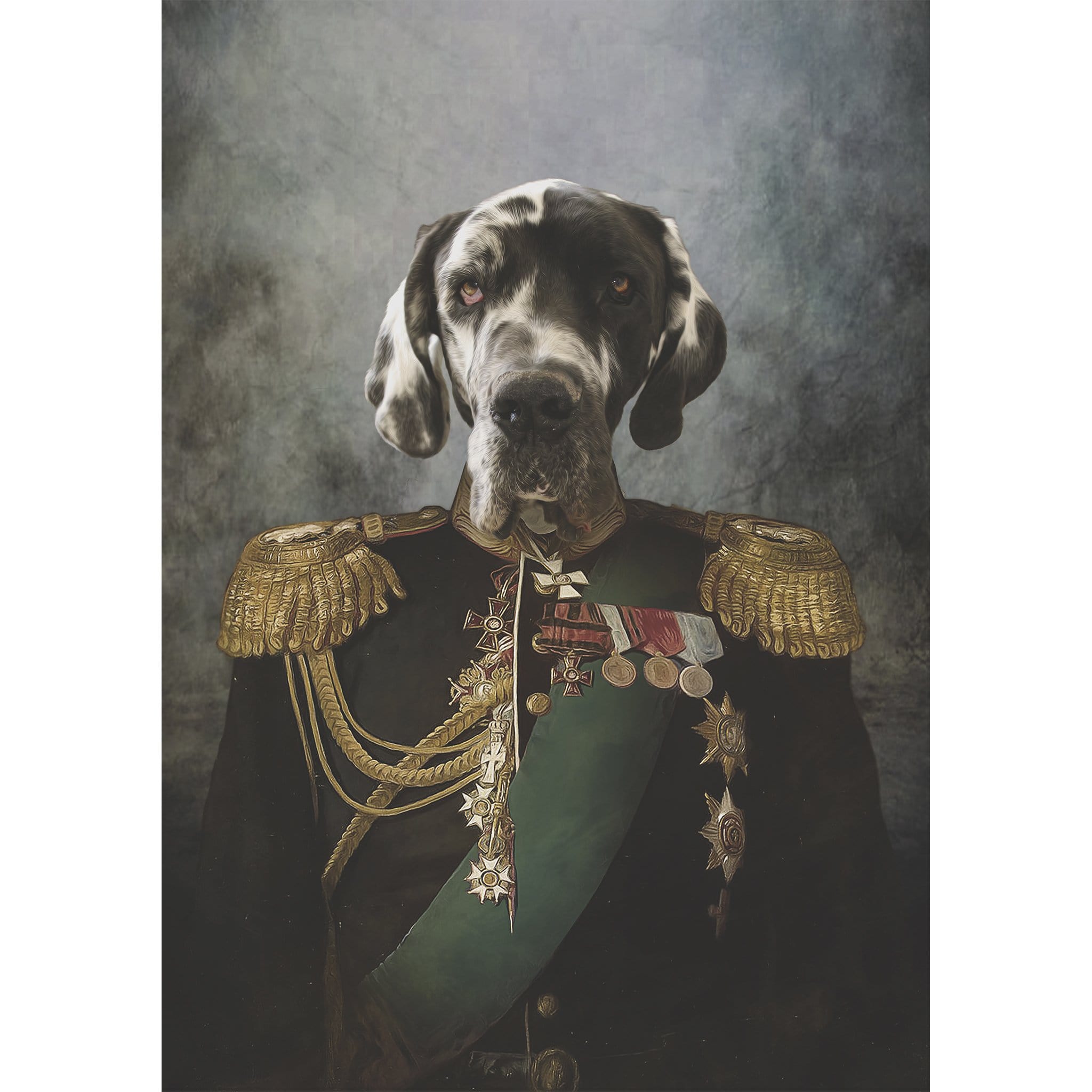 Custom digital portrait of a Great Dane in a Renaissance-style general's uniform.