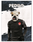 Póster Mascota personalizada 'Canada Doggos Soccer'