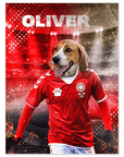 Póster Mascota personalizada 'Denmark Doggos Soccer'